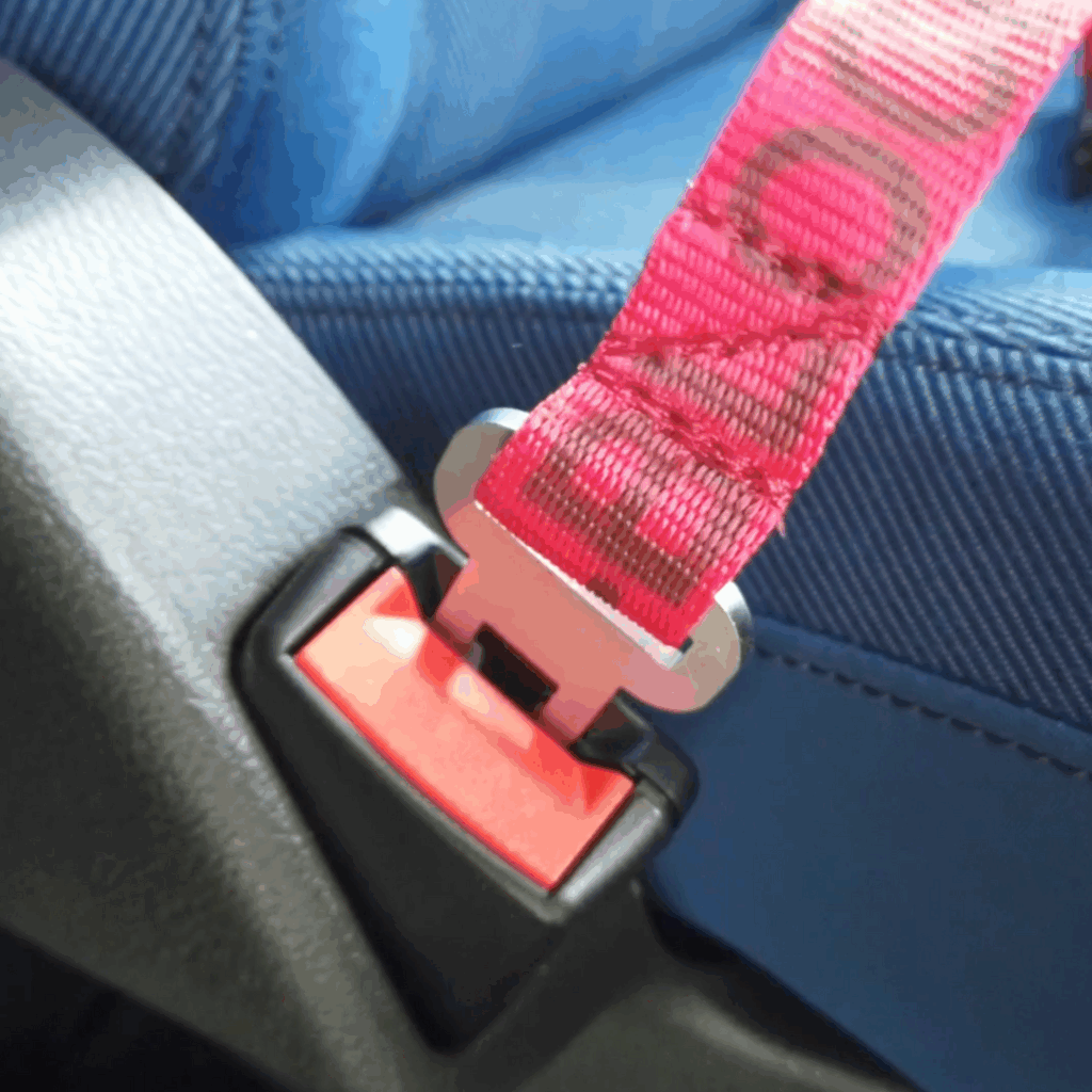 La sangle est fixée à la prise de ceinture comme une ceinture traditionnelle